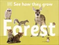 See How They Grow. Forest - tantis.pl