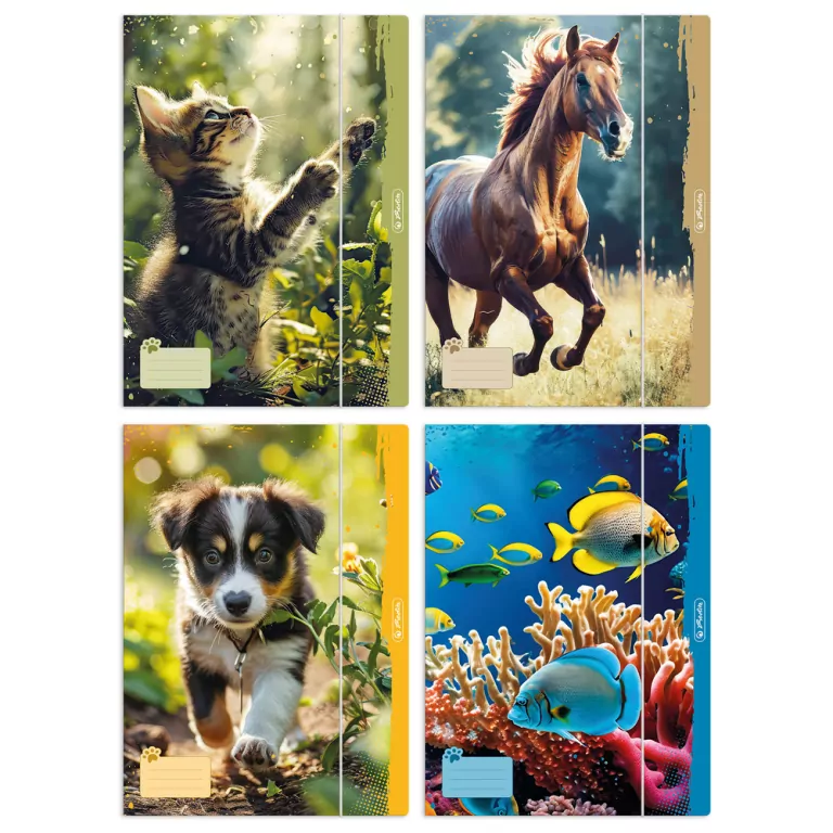 Teczka rysunkowa A4 z gumką Animals - tantis.pl
