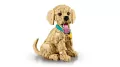 LEGO® Icons. Szczeniak golden retriever 11384 - tantis.pl