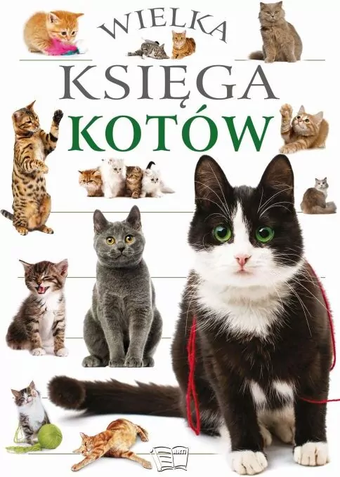 Wielka księga kotów - tantis.pl
