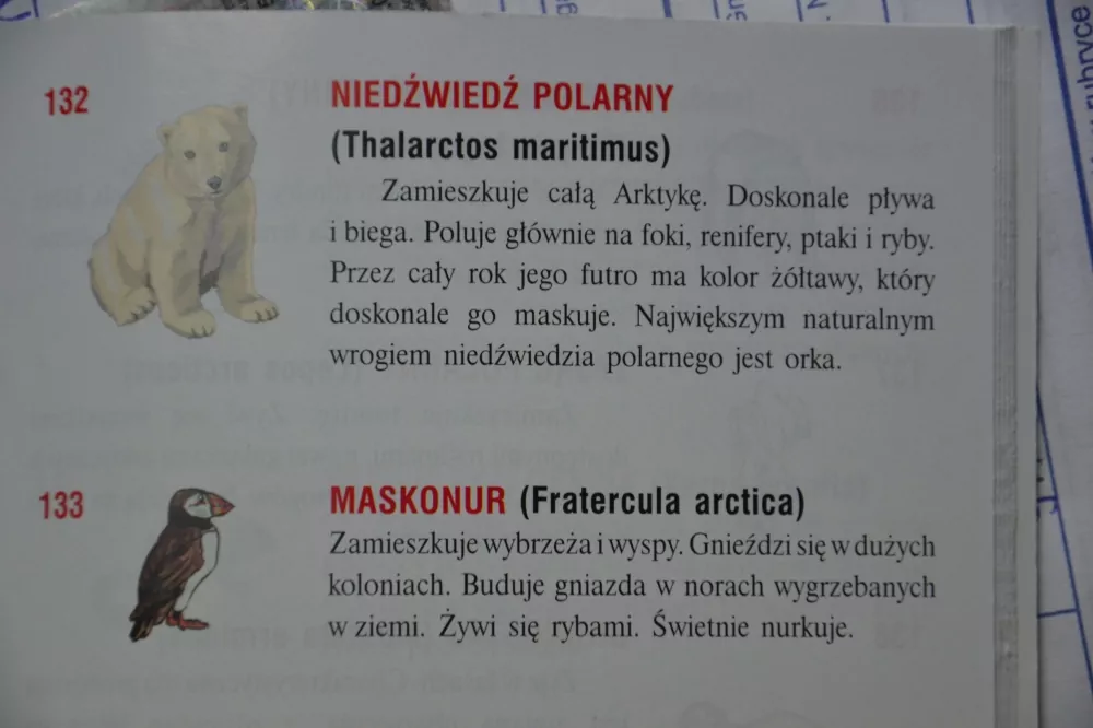 Globus 220 mm. Zoologiczny z opisem - tantis.pl