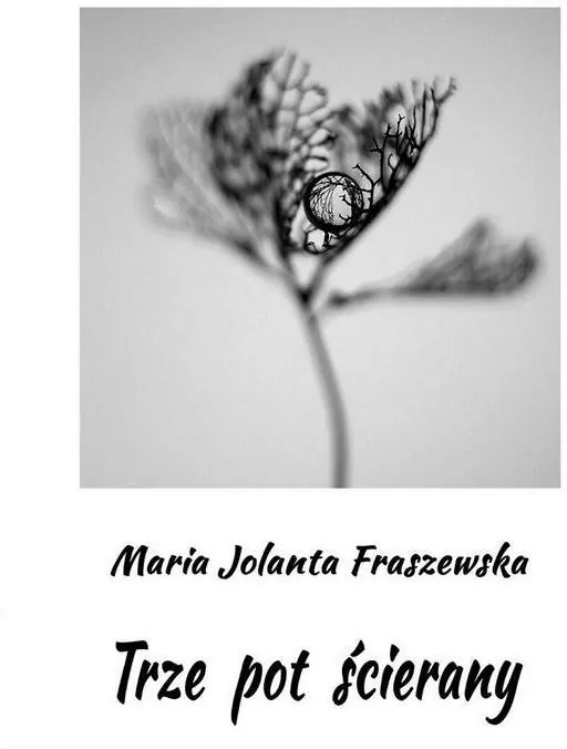 Trze pot ścierany - tantis.pl