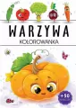 Warzywa kolorowanka - tantis.pl