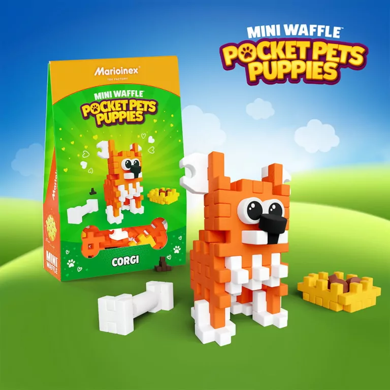 Mini Waffle - Pocket Pets Puppies - Corgi - tantis.pl