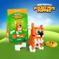 Mini Waffle - Pocket Pets Puppies - Corgi - tantis.pl