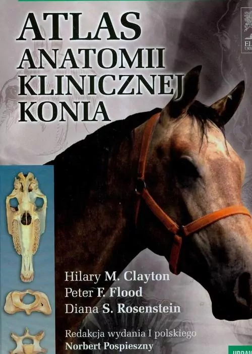 Atlas anatomii klinicznej konia - tantis.pl