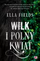 Wilk i Polny Kwiat - tantis.pl