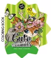 Kolorowanka Curly z naklejkami BR Gwiazdka 2208 - tantis.pl