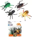 Owady insekty - tantis.pl