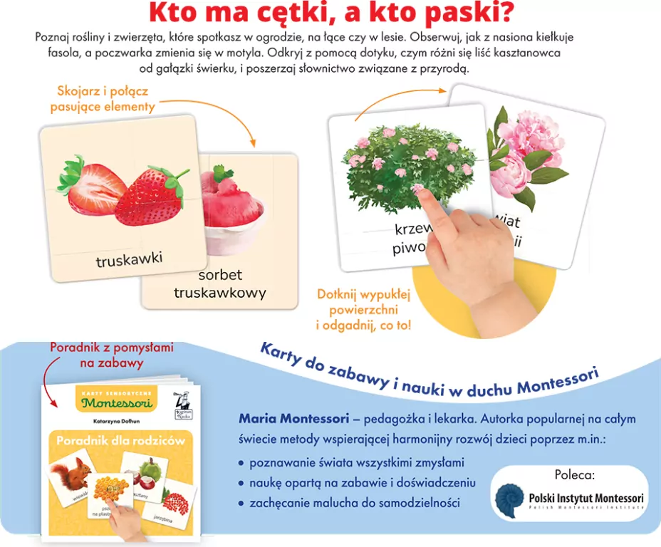 Montessori. Karty sensoryczne Przyroda 3+ - tantis.pl