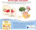Montessori. Karty sensoryczne Przyroda 3+ - tantis.pl
