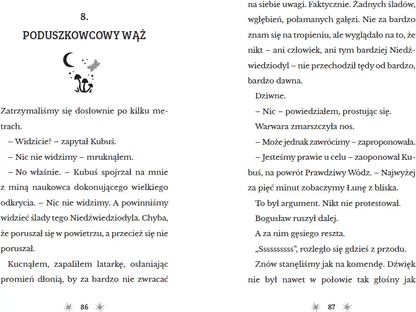 Stefan i Tajemnicza Łuna - tantis.pl