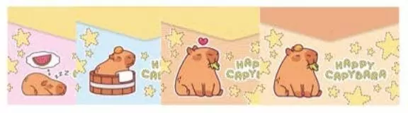 CAPYBARA Teczka A4 na suwak MIX - tantis.pl