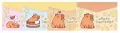 CAPYBARA Teczka A4 na suwak MIX - tantis.pl