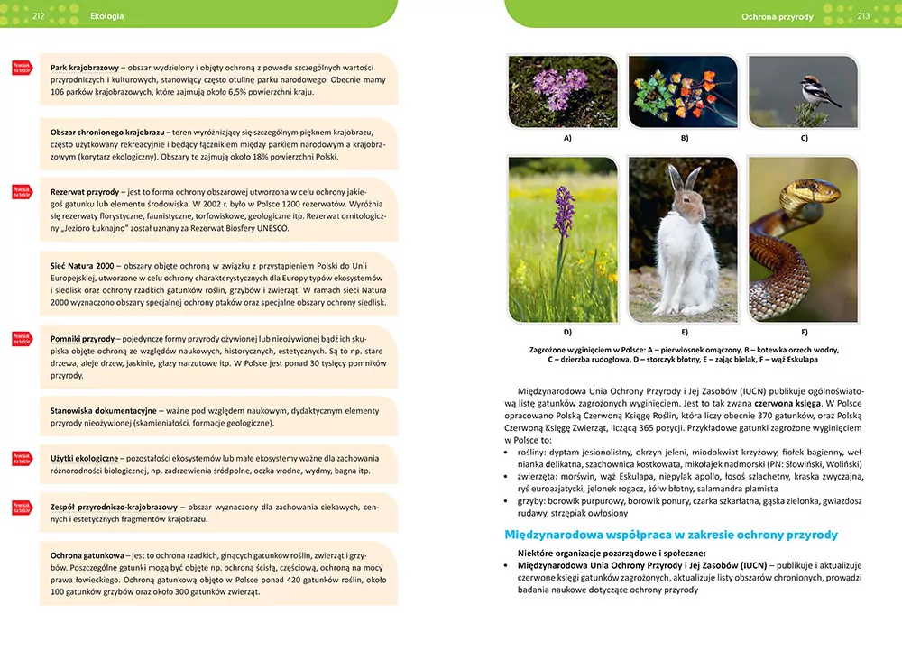 Biologia. Repetytorium. Liceum/technikum wyd. 2026 - tantis.pl