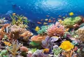 Puzzle 1000. Coral Reef. Rafa koralowa - tantis.pl