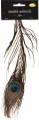 Pióro pawia 25cm - tantis.pl