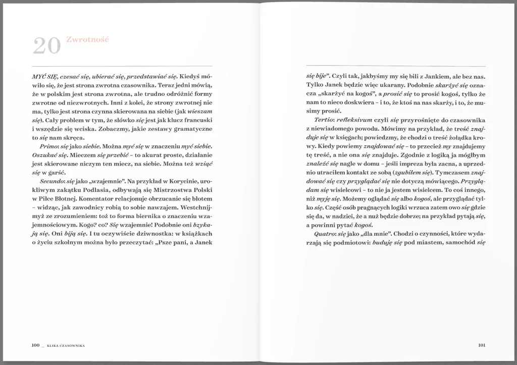 Bezecnik gramatyki polskiej - tantis.pl