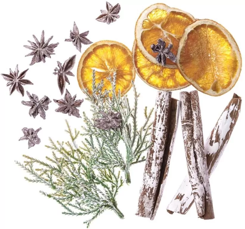 Naturalne elementy 19szt - tantis.pl