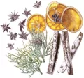 Naturalne elementy 19szt - tantis.pl