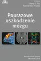 Pourazowe uszkodzenie mózgu - tantis.pl