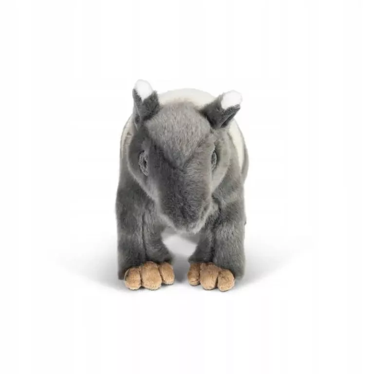 Tapir - tantis.pl