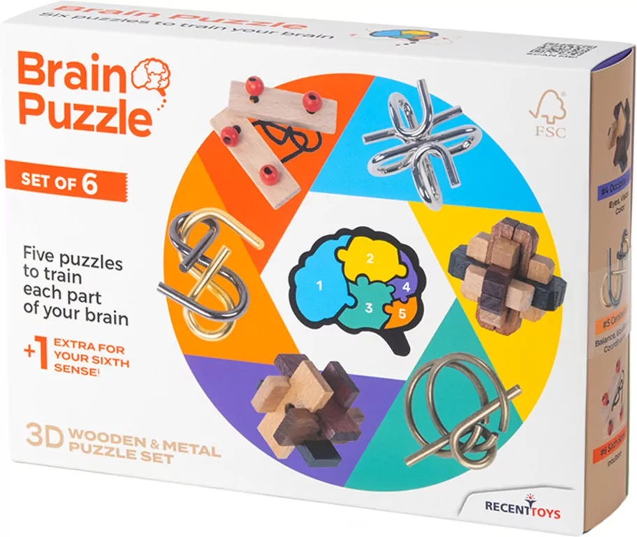Brain Puzzle. 6 łamigłówek - tantis.pl