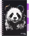 Kołozeszyt Pads B5/100K kratka Panda - tantis.pl