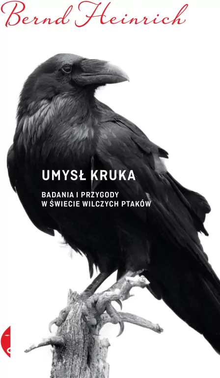 Umysł kruka. Badania i przygody w świecie wilczych ptaków - tantis.pl