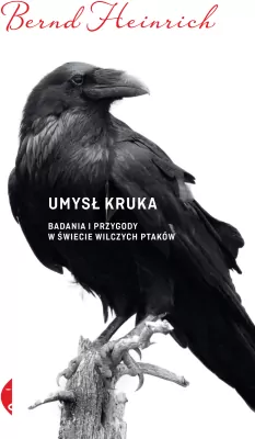 Umysł kruka. Badania i przygody w świecie wilczych ptaków