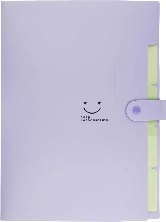 Teczka plastikowa A4 z 5 przegródkami fioletowa - tantis.pl