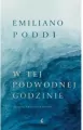 W tej podwodnej godzinie - tantis.pl