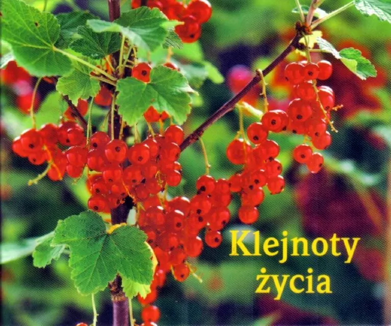 Klejnoty życia. Perełka nr 143 - tantis.pl