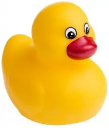 Kaczka do kąpieli. Zabawka. Tullo