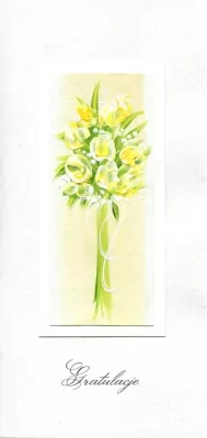 Karnet Gratulacje DL G01 - Zielony bukiet