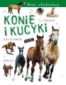 Nasi ulubieńcy. Konie i kucyki - tantis.pl