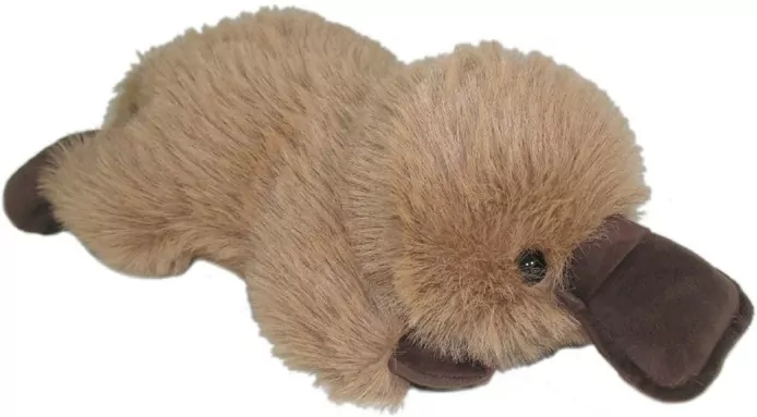 Dziobak 32cm - tantis.pl