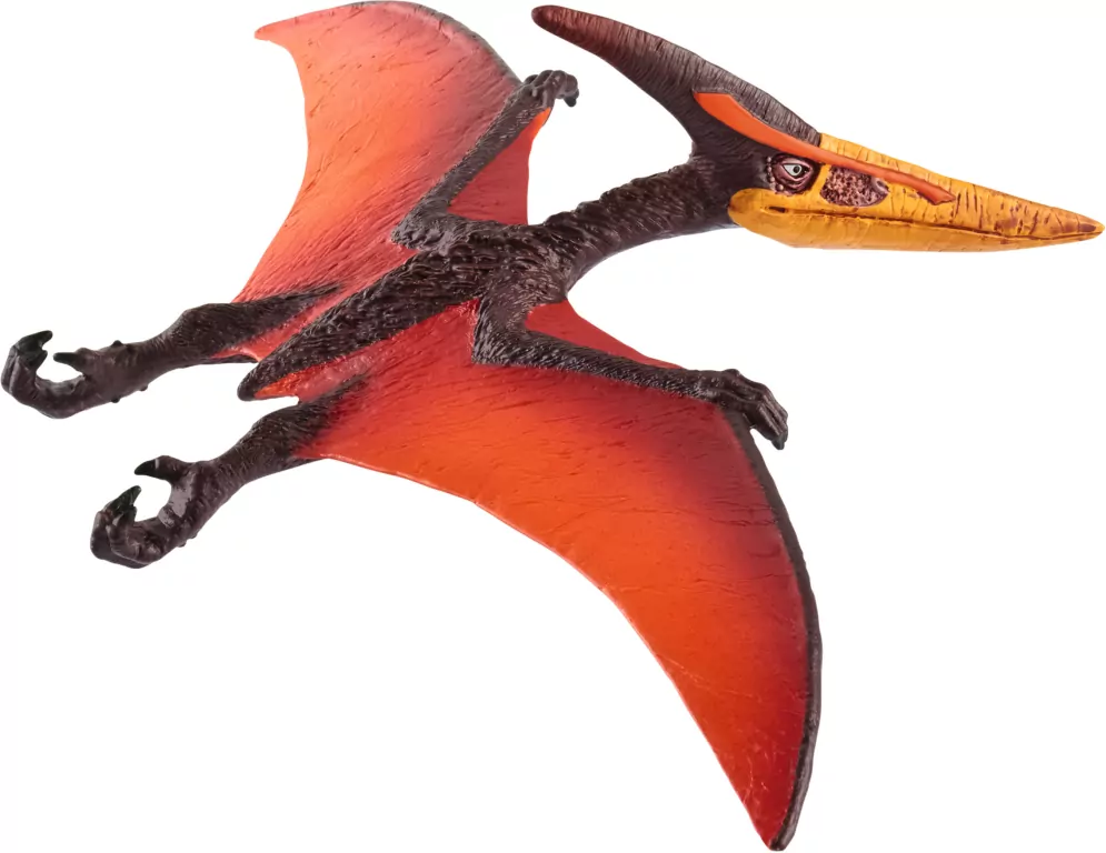 Pteranodon 15008 - tantis.pl