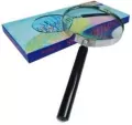 Lupa 30cm - tantis.pl