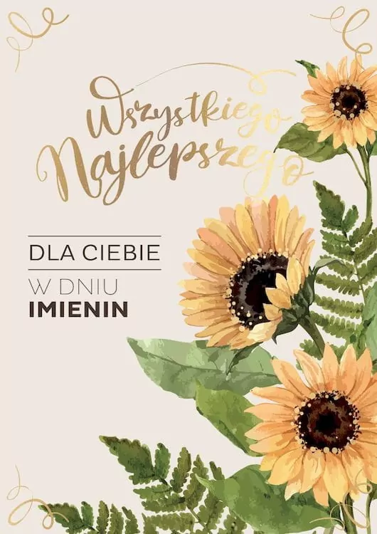 Karnet B6 PR-245 Imieniny słoneczniki - tantis.pl