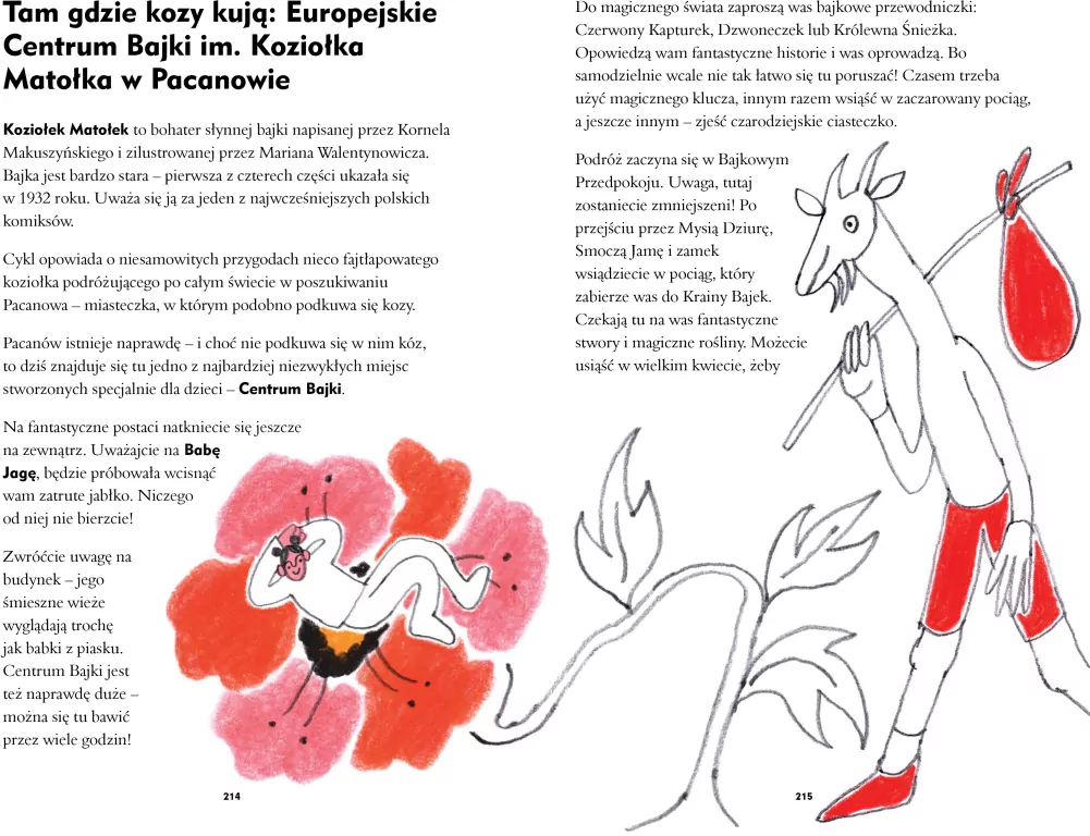 Dobra nasza! Polska. Przewodnik dla dzieci - tantis.pl
