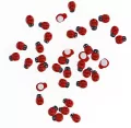 Dekoracje samoprzylepne 3D biedronki 8x11mm - tantis.pl