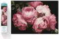 Diamond Dotz Adults Vintage Roses - tantis.pl
