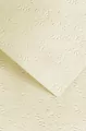 KARTON OZD A4 BEZ J. 220G GAL PAP TLOCZONY OP20S - tantis.pl