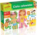 Ciało człowieka. Carotina - tantis.pl
