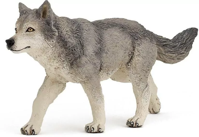 Wilk szary - tantis.pl