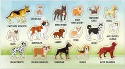 Naklejki. Rasy psów