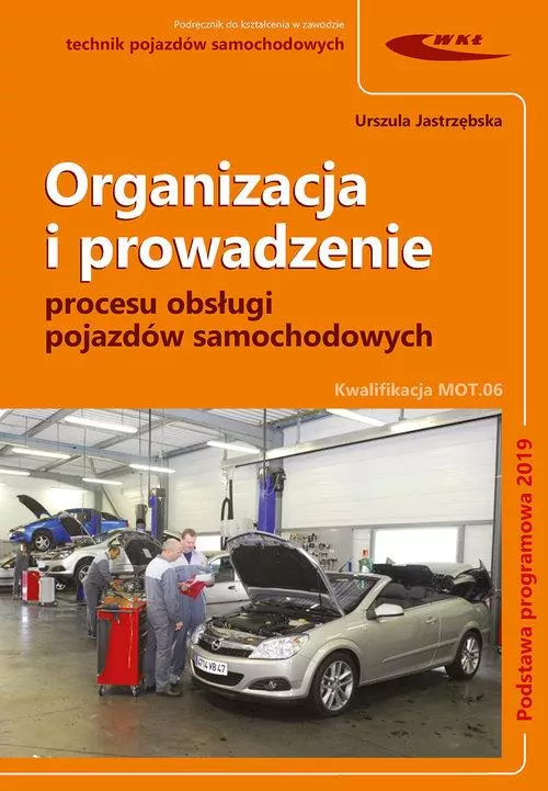 Organizacja i prowadzenie procesu obsługi pojazdów samochodowych - tantis.pl