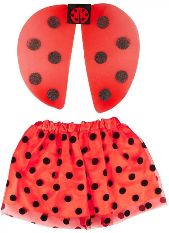 Zestaw biedronki skrzydełka spódniczka - tantis.pl