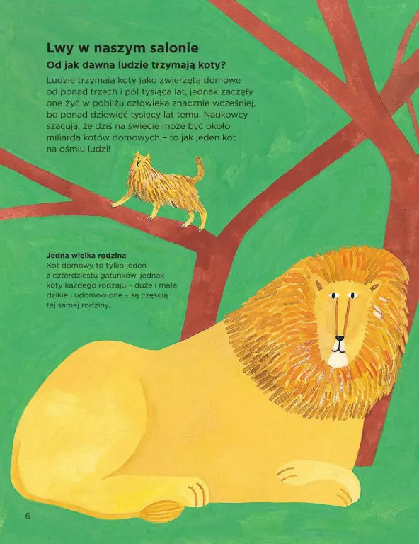 Dlaczego koty miauczą? - tantis.pl